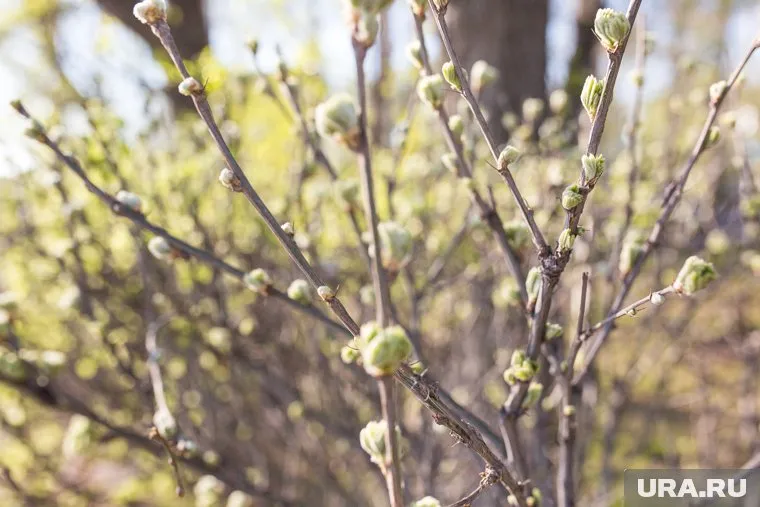 Местами потеплеет до +22 градусов