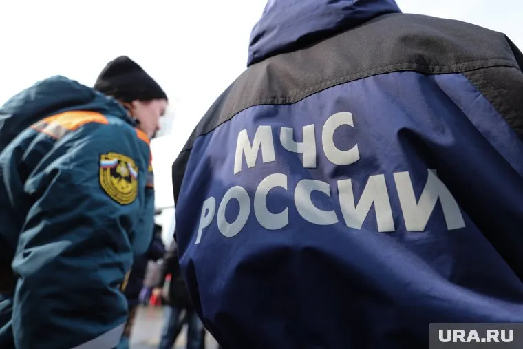 Спасательная операция на месте крушения самолета L-410 в Татарстане продолжается