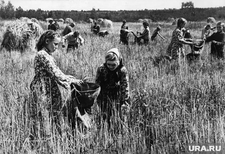 Во время Великой Отечественной войны все, дети и взрослые, работали для помощи фронту