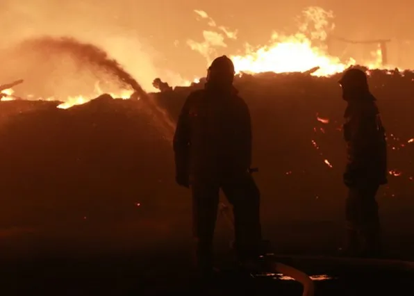 Фотография из галереи