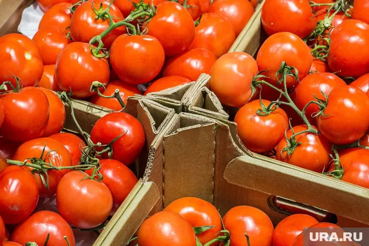 Большая часть продукции отправится в продажу без обеззараживания