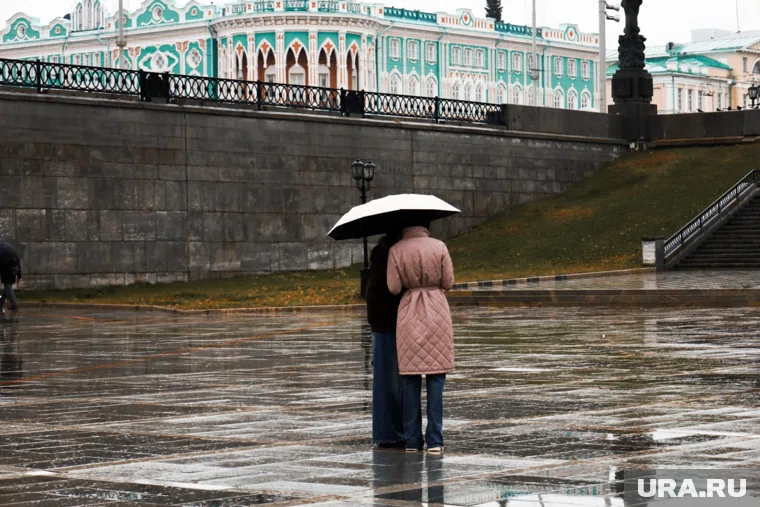 Днем 19 ноября ожидается дождь