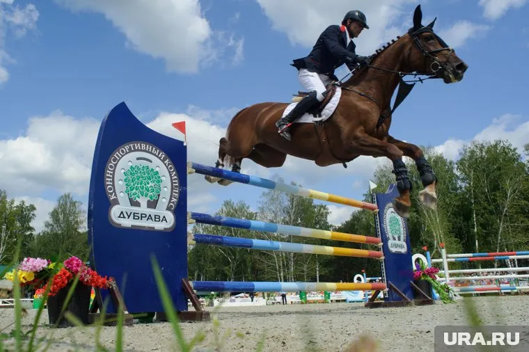 Конный спорт считается одним из самых популярных видов досуга в мире