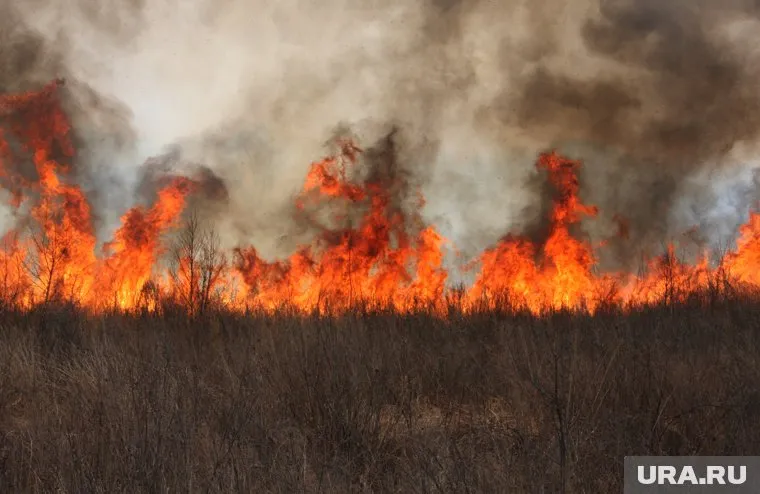 Столице угрожают пожары