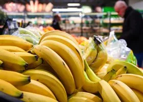 Фотография из галереи