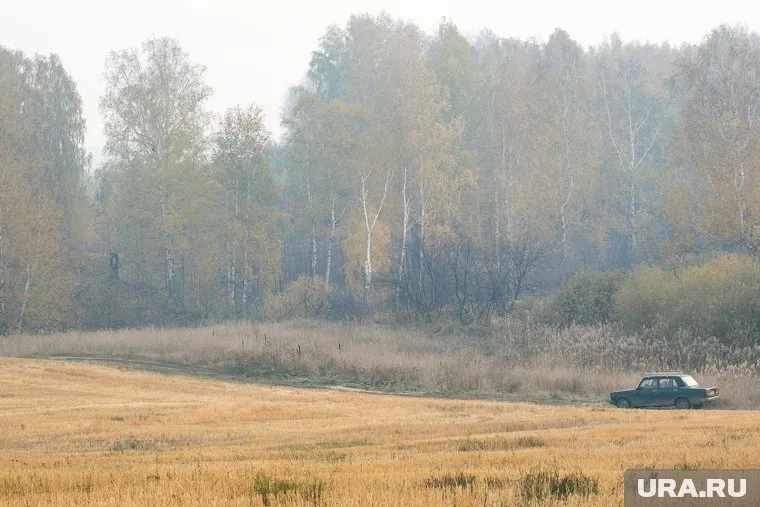 Новая база отдыха будет находиться недалеко от Тюмени