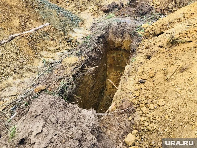 Замдиректора предприятия устроила на работу родственников мужа