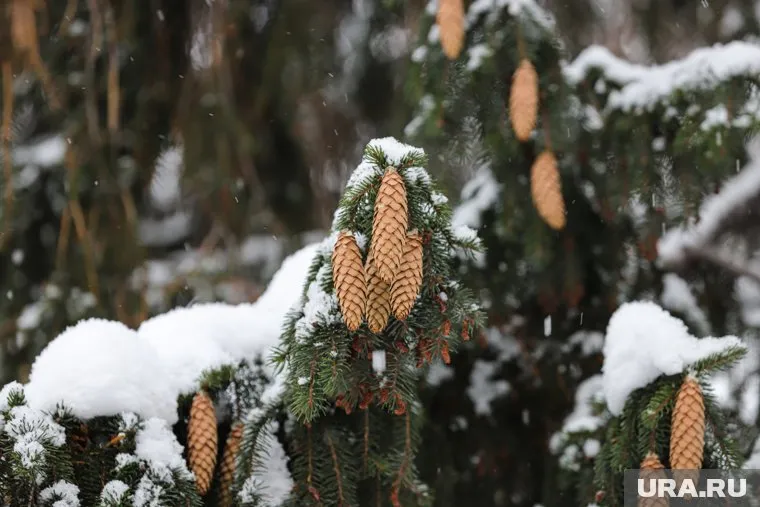 В Нефтеюганске 10 мая выпал снег