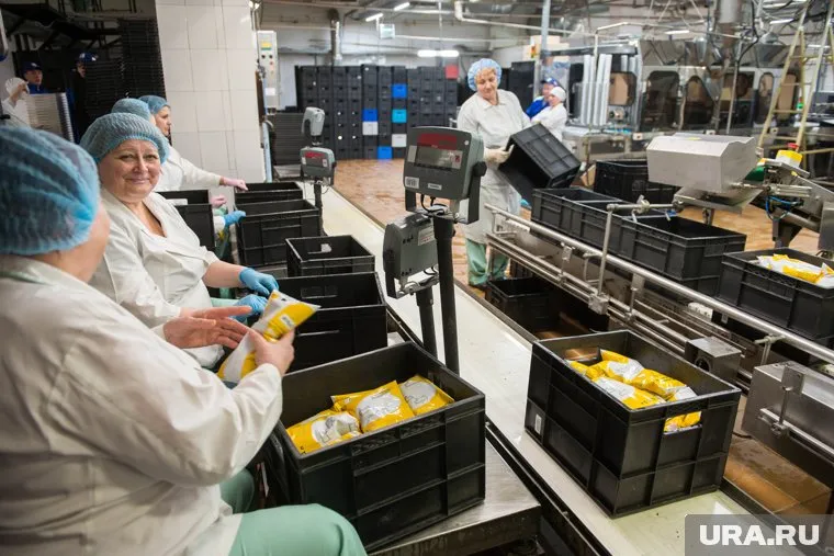На выработку молзавода приходится более 25% всей молочной продукции Свердловской области