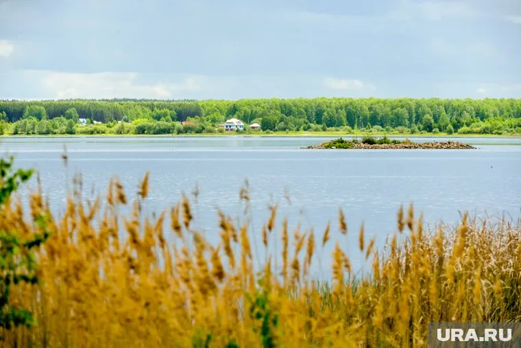 Глава СКР Александа Бастрыкин держит на контроле ситуацию с детьми на острове Валаам