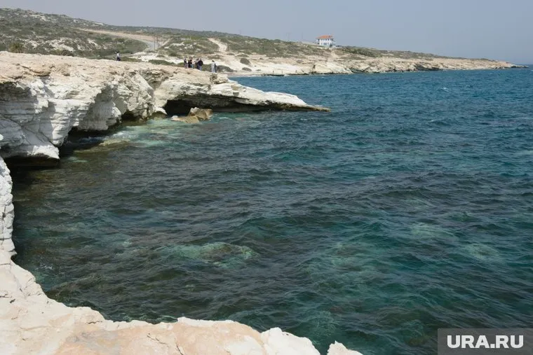 Губернатор Камчатки назвал три версии загрязнения океана