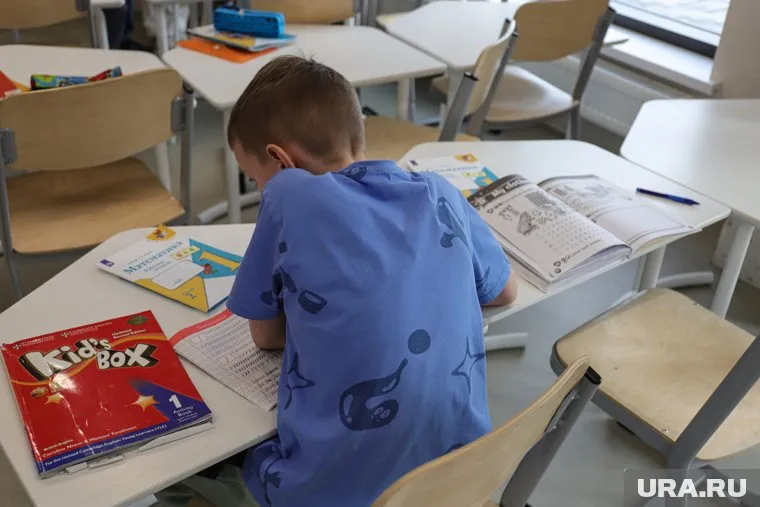 В школах осуществляются проекты, направленные на социализацию детей-мигрантов