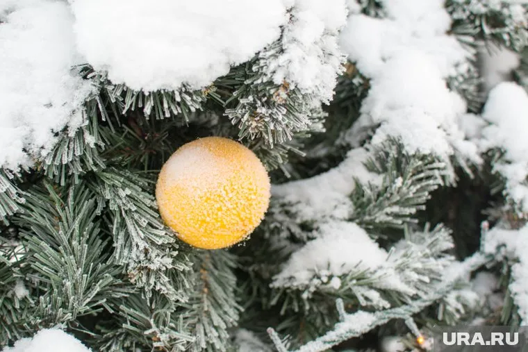 Температура воздуха в новогоднюю ночь опуститься до -48 градусов