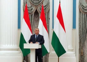 Фотография из галереи