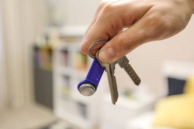 новостройки клипарт. Белкин