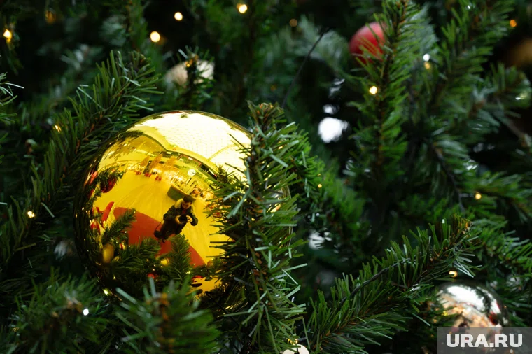 На главную елку Ямала можно попасть только раз в три года