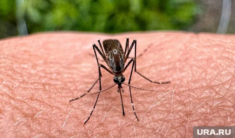 Самый лучший способ профилактики — здоровый организм