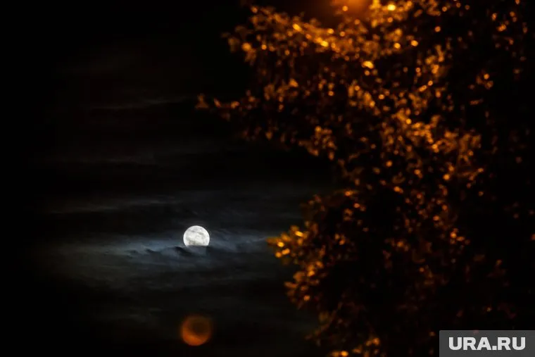 Природное явление усыпило бдительность воспитателя