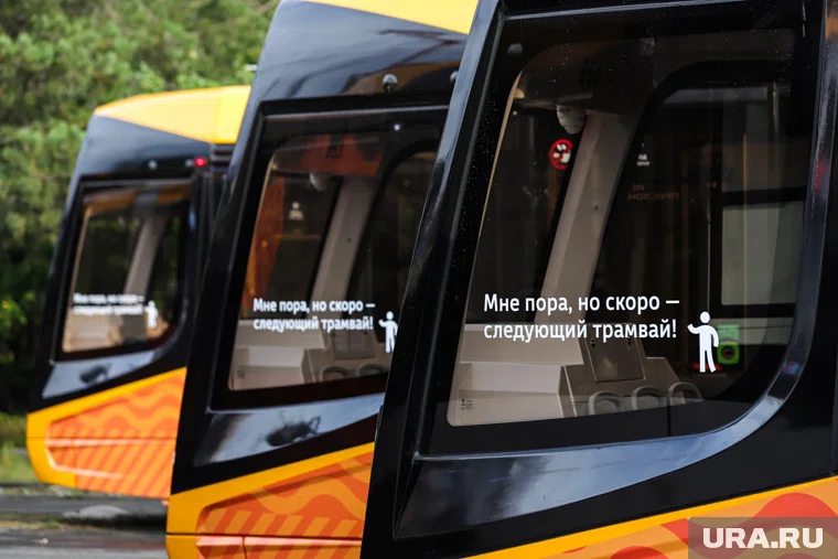 Силовиков и волонтеров отправили патрулировать трамваи