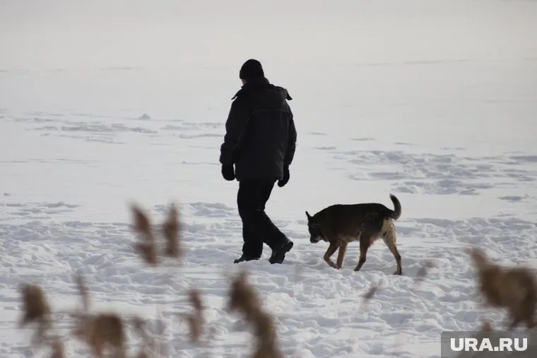 Житель Каменска-Уральского разозлился после обвинений в мужской несостоятельности (архивное фото)