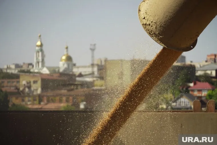 РФ не против продления зерновой сделки