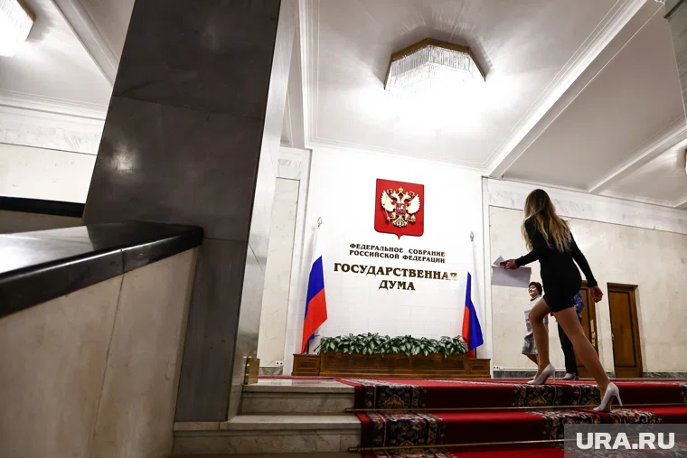 Елена Панова официально выдвинута на пост главы комитета по экологии в ГД