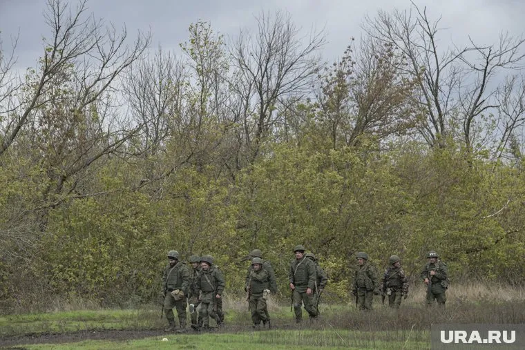 Власти Запорожья: группа из десяти иностранцев попали в ловушку РФ при наступлении
