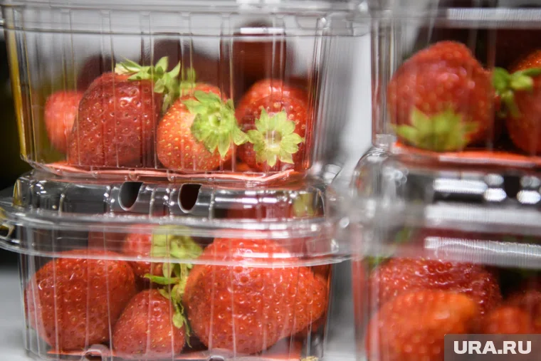 Ягоды появились в супермаркетах и специализированных торговых точках