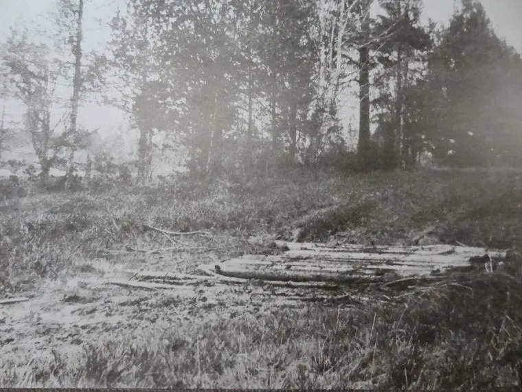 Зал Романовых в краеведческом музее и Поросенков Лог, мостик из шпал, старая коптяковская дорога