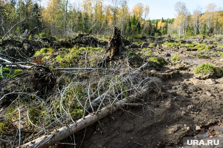 В эпицентре землетрясения зафиксирован толчок 3.1 балла