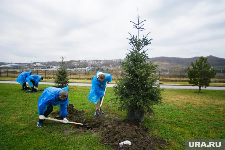 Власти Лабытнанги увеличили количество рабочих мест для детей