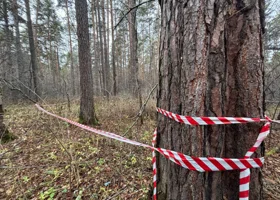 Появились кадры с места, где сын обезглавил мать в Екатеринбурге