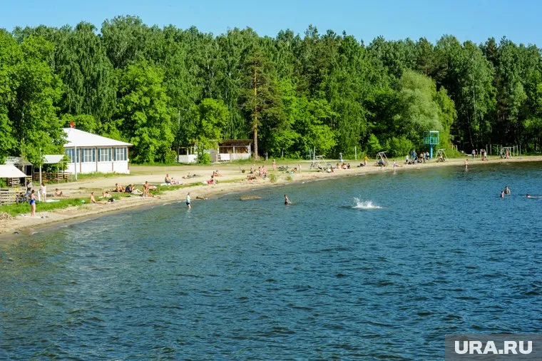 Участок под будущую базу отдыха расположен на берегу озера Шершни