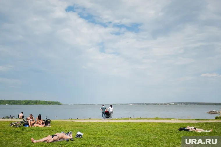 Реконструкция лесопарка займет 10 лет