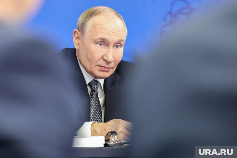 Поручения президент Путин дал 5 ноября
