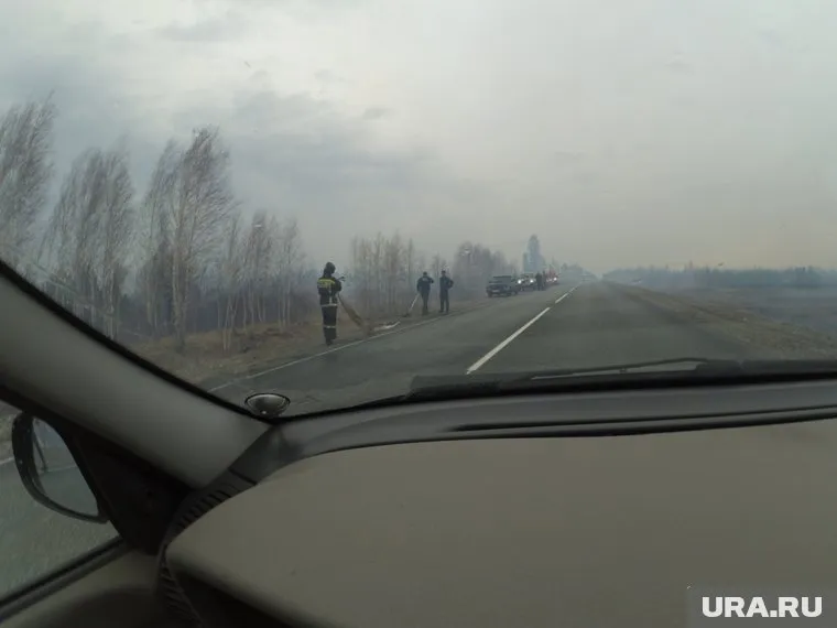 В Курганской области горели леса, которые тушили 78 человек