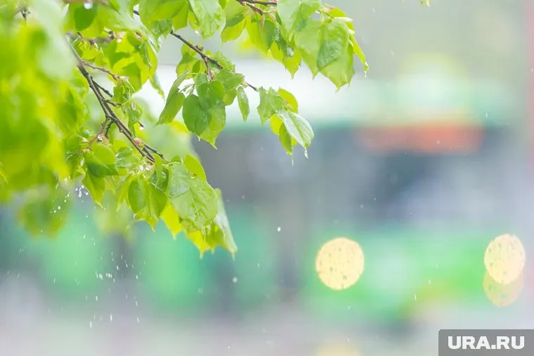 В воскресенье дожди пройдут на большей части региона