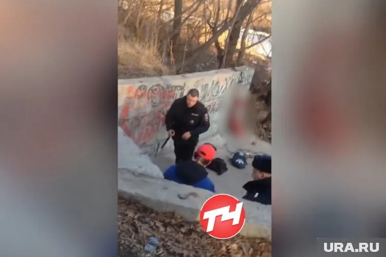 Мужчина признался, что хотел продать шкуру собаки