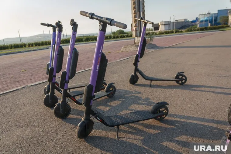 С начала сезона компания выписали 326 штрафов