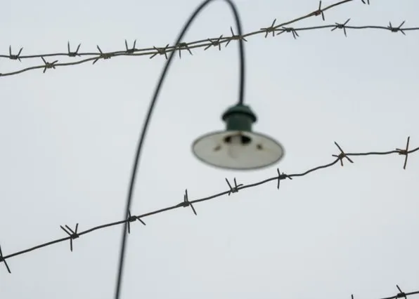 Фотография из галереи