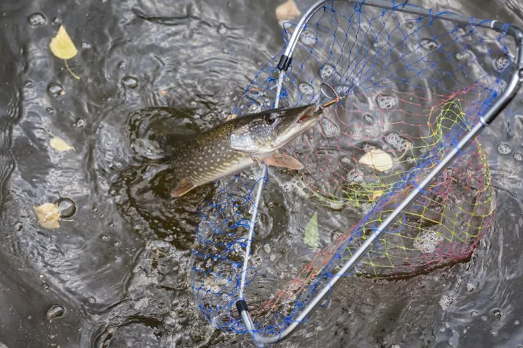 Свердловские зарисовки. Екатеринбург