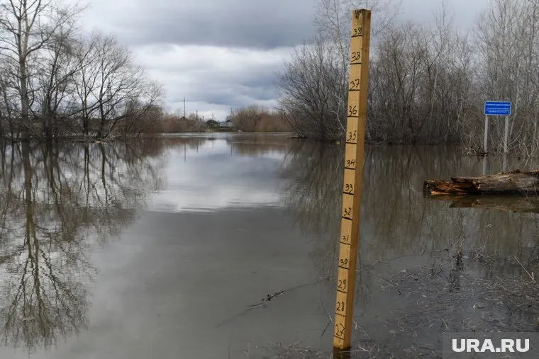 Главные события в Курганской области за 25 апреля