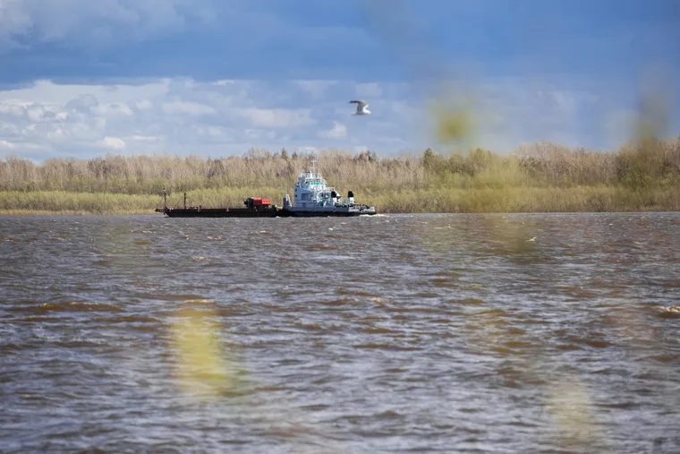 Природа ХМАО. Сургут