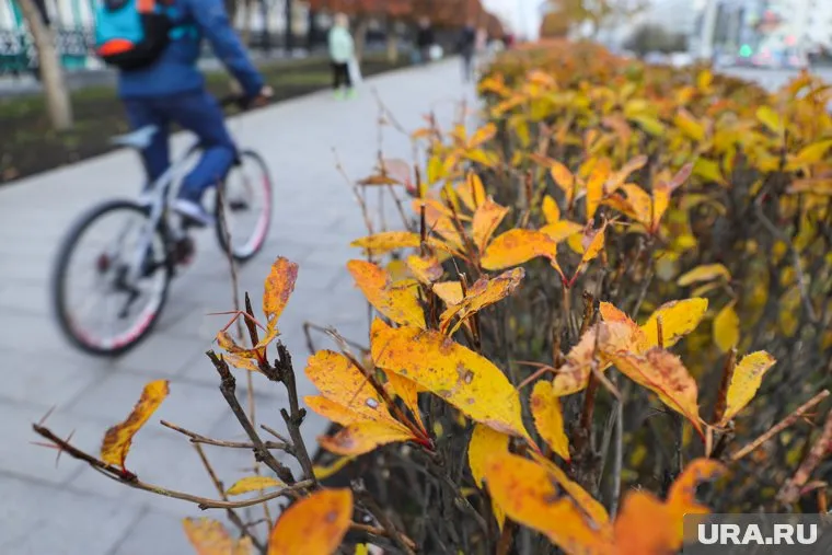 В октябре осень полноценно вступит в свои права
