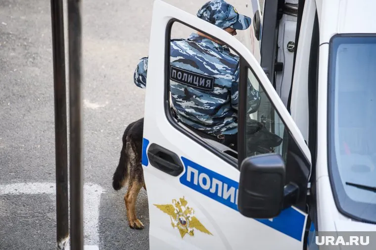 Полиция Выборгского района возбудила уголовное дело