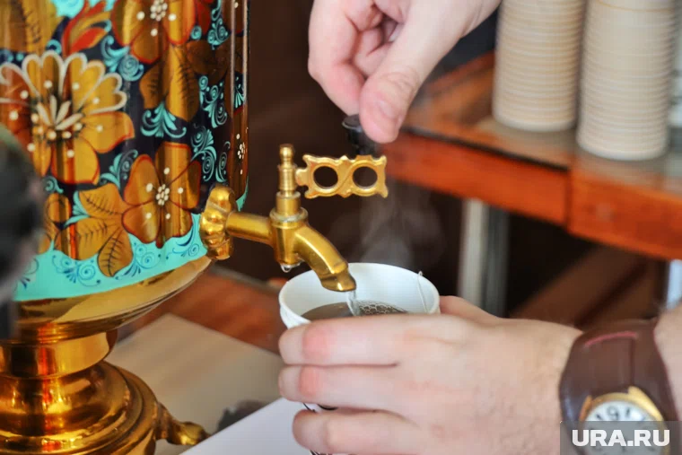 Жители курганского села на выборах поют, играют на гармошке и пьют чай из самовара