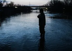 Фотография из галереи