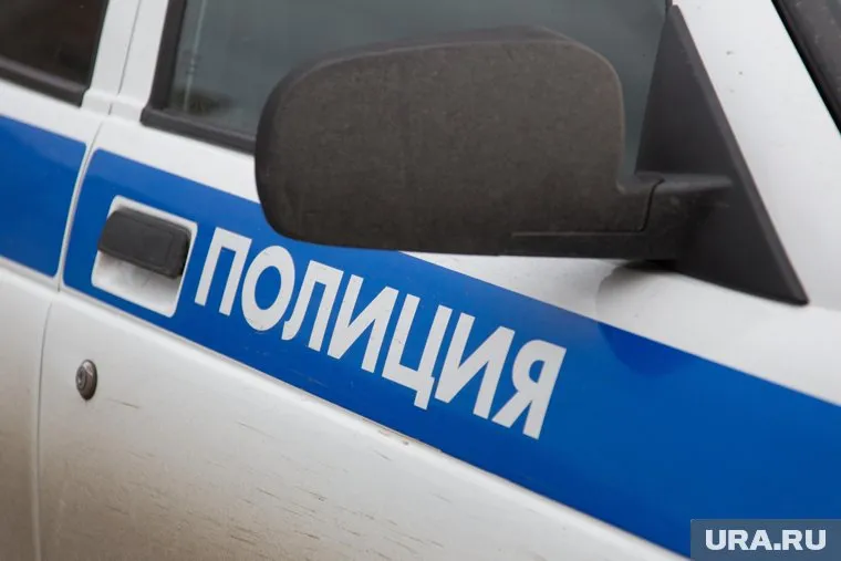 Силовики ищут участников потасовки (архивное фото)