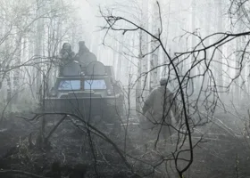 В ХМАО спасатели разыскивают пропавшего в лесу мужчину