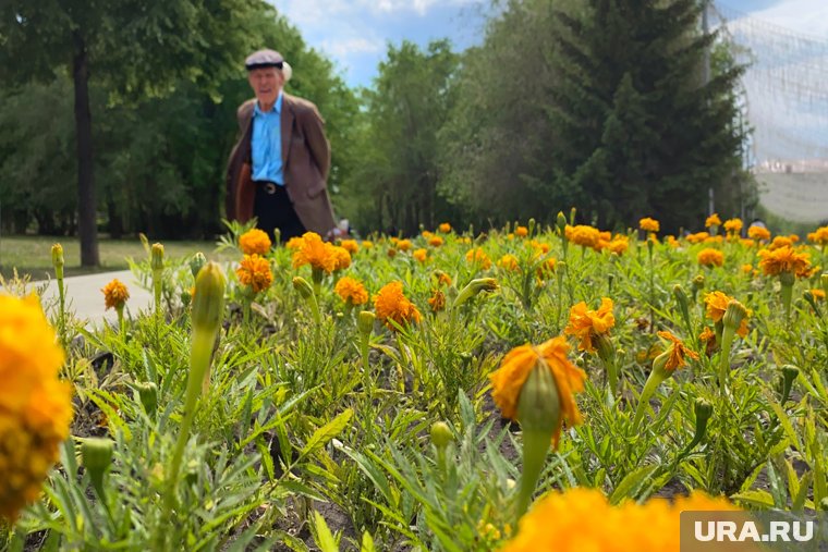 Подсчитано число пенсионеров в России: как менялось их количество и размер пенсий. Инфографика